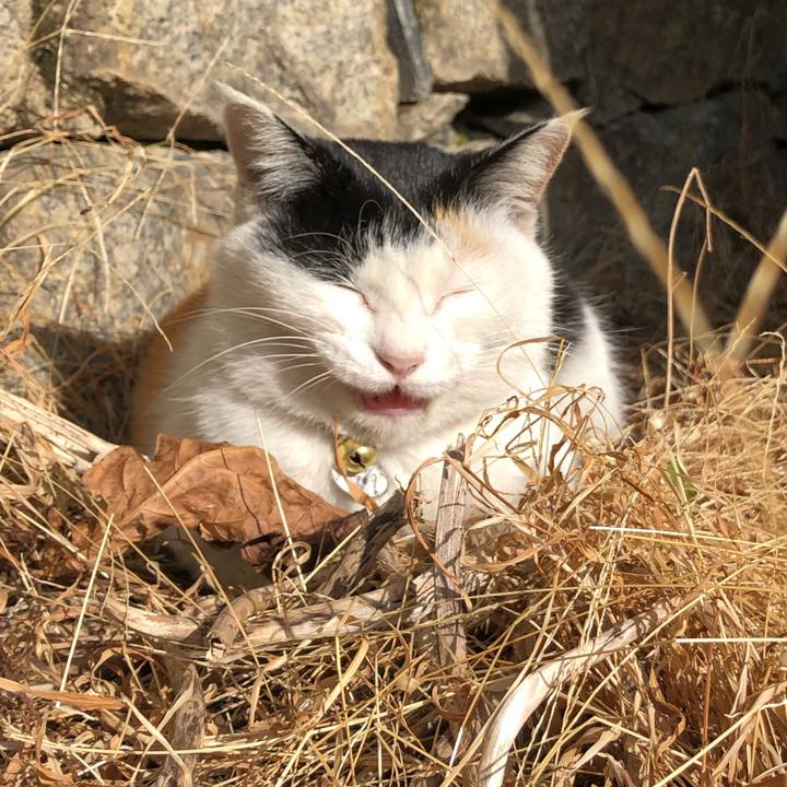 F546c8f2 2e78 404b 97d2 bc69713878c7 1607491364788