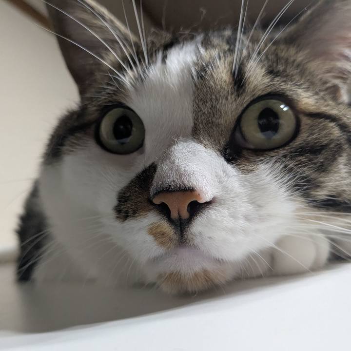 F546e6c6 7980 4ffe b389 ceaae6364b7d 1754094949659