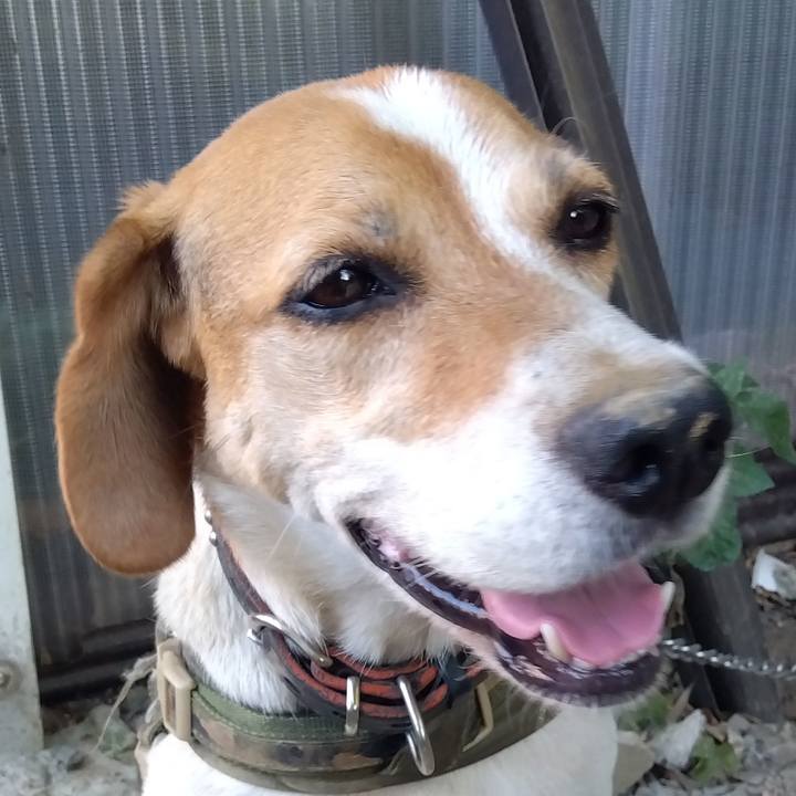 F5474fbb 5c4e 49d9 8a16 1695ffd86c08 1689592299632