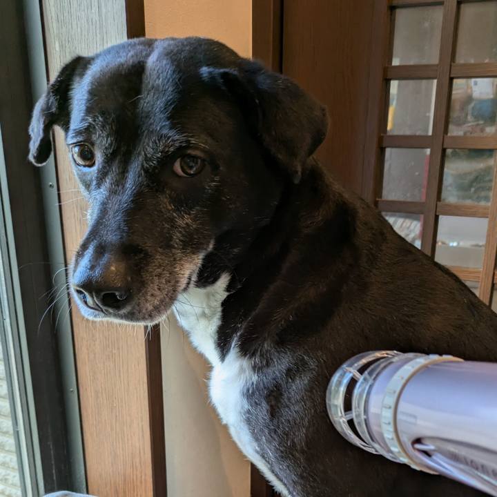 F5477187 5ef1 478c 9ad3 815a3cfeb9dc 1746011512802