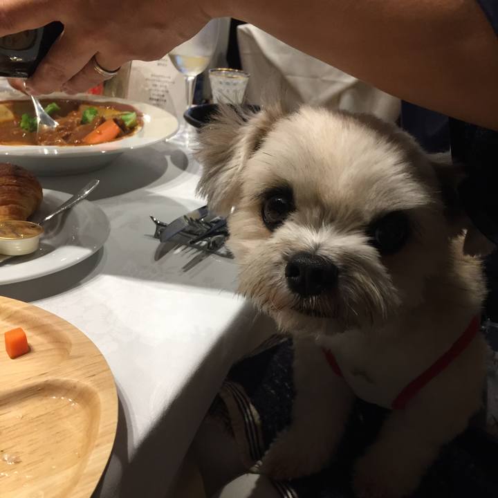 F54771b8 fc0c 4e85 af81 222b80f3e0bc 1537015185324