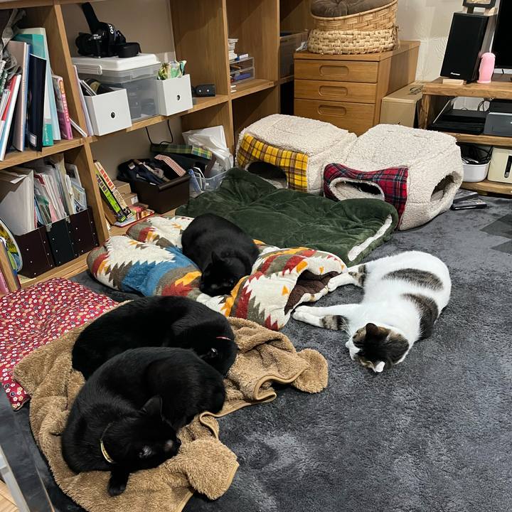 F5478871 a745 4020 bdcb db587d0cb490 1670285958623