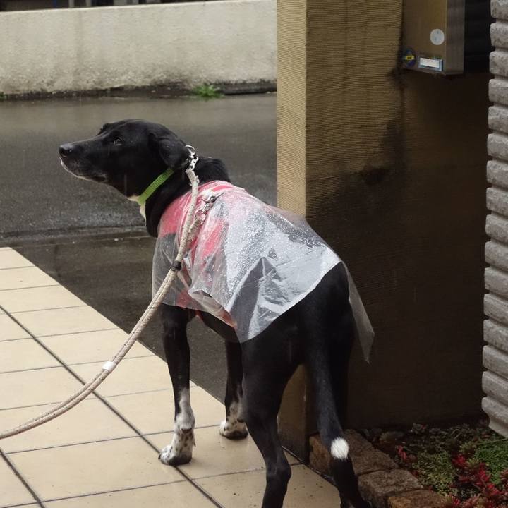 F54793b8 b914 457e b29e a82275285e98 1647907650695