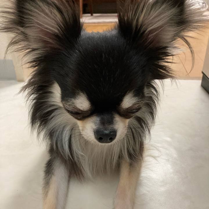 F547c168 895b 4438 af26 a90109a79e12 1616855398371