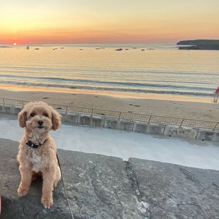 F547d623 f4b4 4cad 9c14 c460dc3d9d11 1630019041215