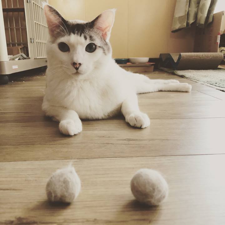 F547df6a 7f73 4ccc 83cb 860918a55052 1654752111670