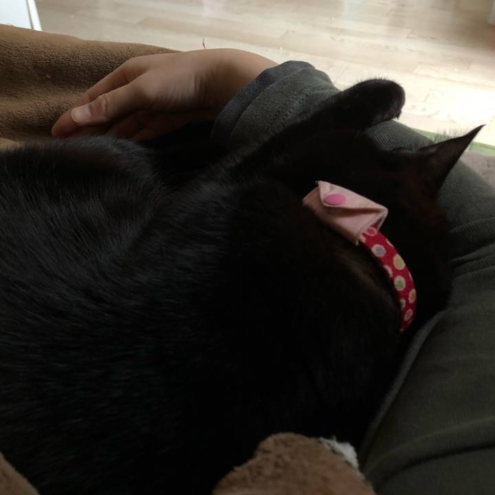 F547e25f b083 4493 a0a8 e4886e4c8a7d 1616890039072