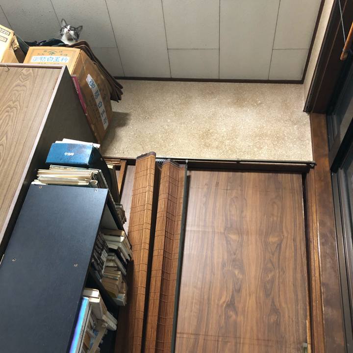 F547ecea e8fb 42da aad2 7fb1fadfb4bc 1571751710185