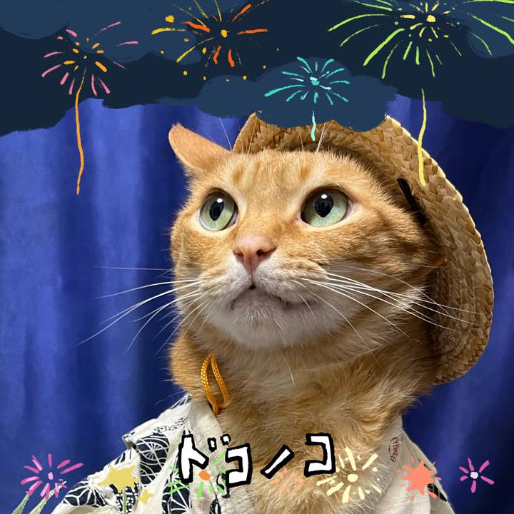 F5485416 4532 4502 ae9d c69ef8a1b551 1723191866113