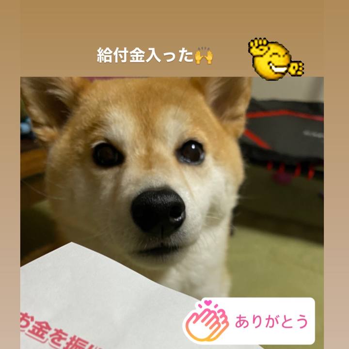 F5486255 2ae2 4a4b 9f3f 11abece8b67d 1590588077926