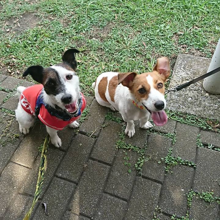 F548755c 2a06 4539 9487 ec69179f72e3 1533970200983