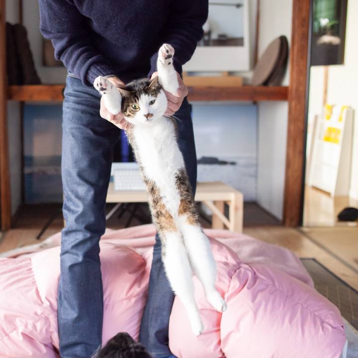 F54876b8 4a4a 4bc3 ae5e 90f63a48b7e5 1548764175057