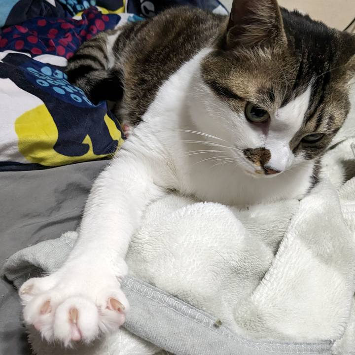 F5488019 2e41 4192 9f89 976410747f93 1679060853977