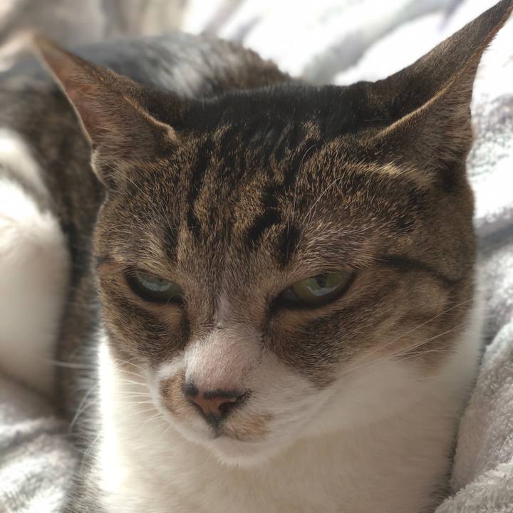 F5488c94 6b77 4904 9135 f7ea4aa0422c 1560557759132