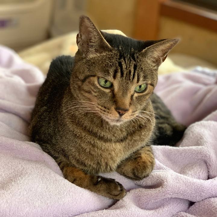 F5488fba 53ca 4dc8 8b61 d2b6ebd68405 1554512638038