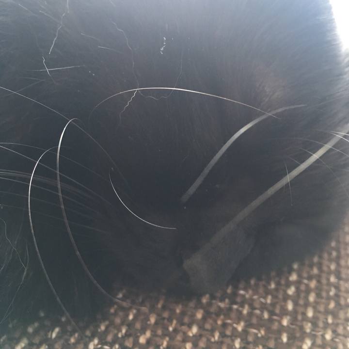 F548ca0a 6f78 433c 8e40 b47539b2dffa 1519010389046