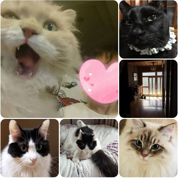 F548ec30 9bc8 47e9 87d7 b288722809fb 1556339889665