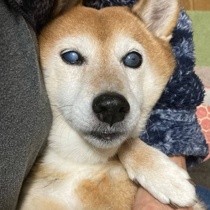 F548efb7 c23c 4ed7 a79e 4693338b42e5 1702548925901