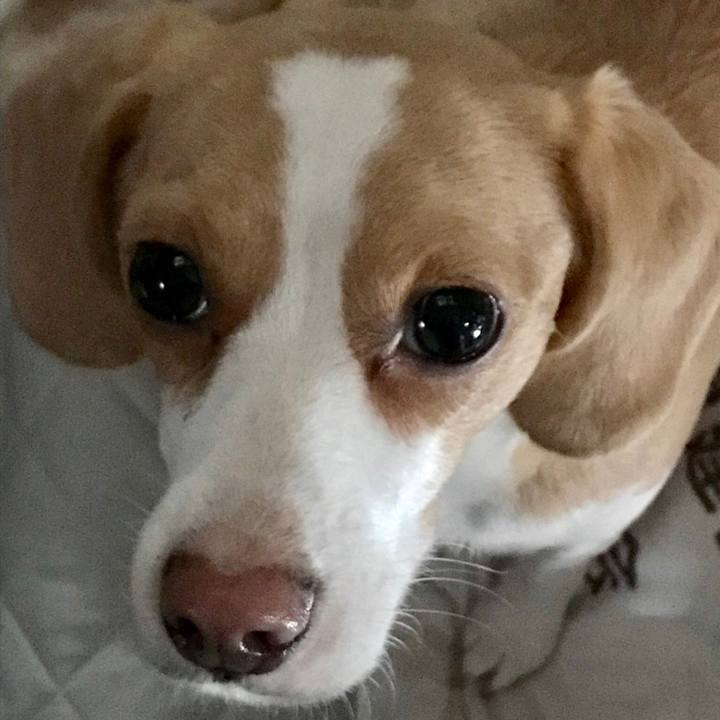 F549a2b3 d1e0 4da8 a77a 001dc7084a69 1541390683794