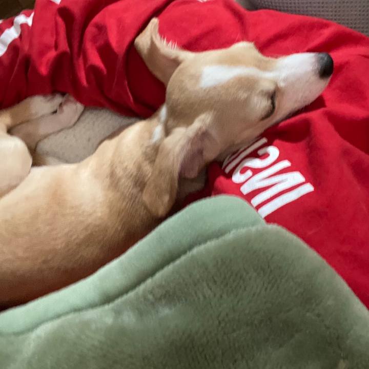 F549b7da 2d10 4ee1 a40c 4b4f13487e0a 1667022518582