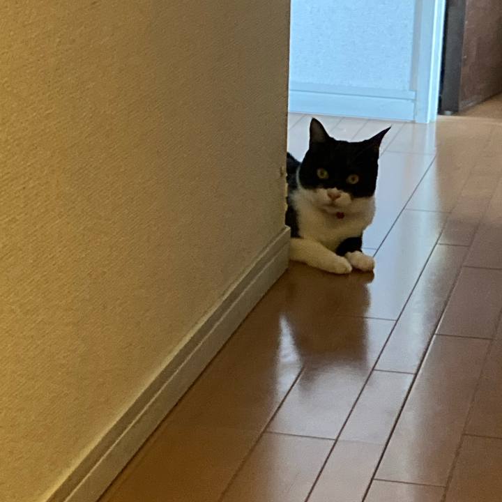 F549c1fa 16fc 4b65 a784 f4d9749f3671 1621762732793