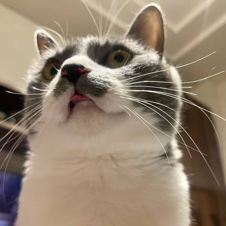 F549f91f 9196 48c6 8c29 2f2f9c2f2f6d 1647959677423