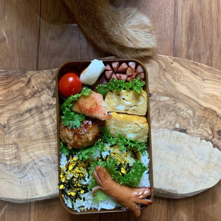 F54a04b0 7483 47f0 b5cd b5f25b469bc0 1656021499253