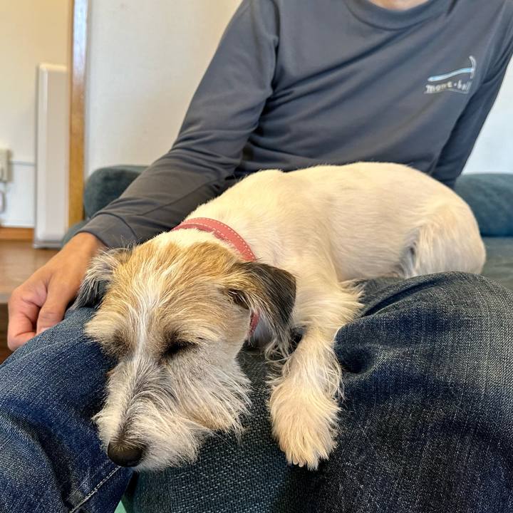 F54a180f f088 4bf9 b4a4 f581febcaebc 1697465946694