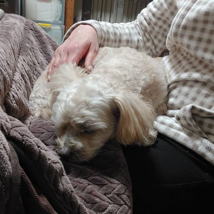 F54a18b9 1a69 4d65 8a12 b8361abf5c93 1646391392530