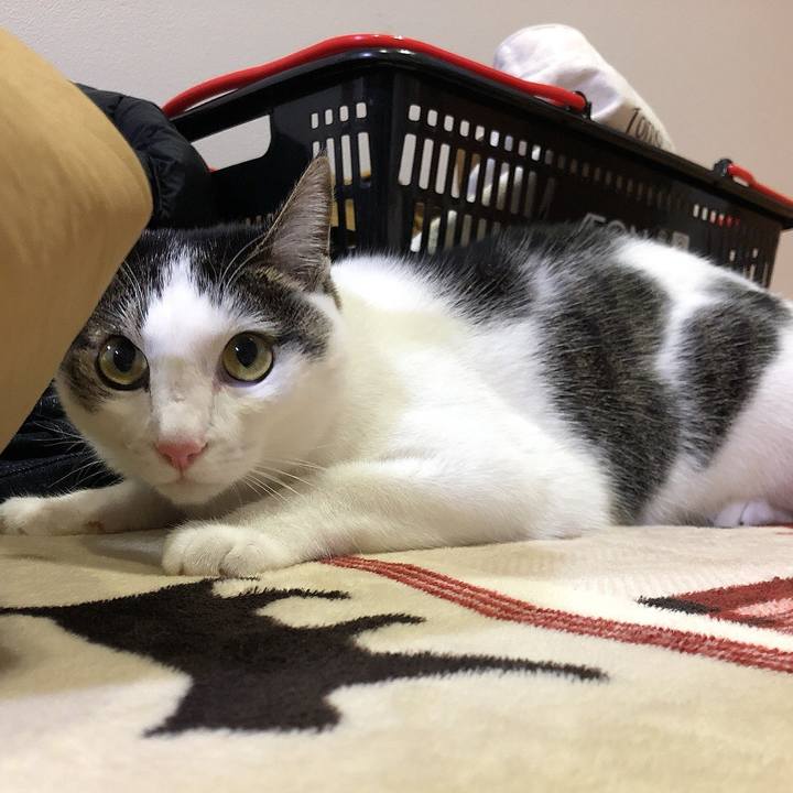 F54a2c69 f949 4560 9242 7a160b6d60ee 1668860857325