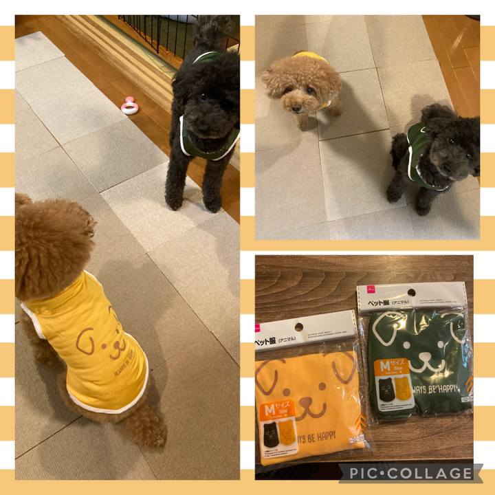 F54a73dc ff9b 412c 9218 a9614dbdd45f 1633863806310