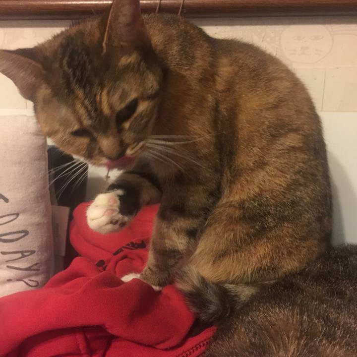 F54a74b9 2781 4083 b326 e1edfaf8cc2e 1570273759740