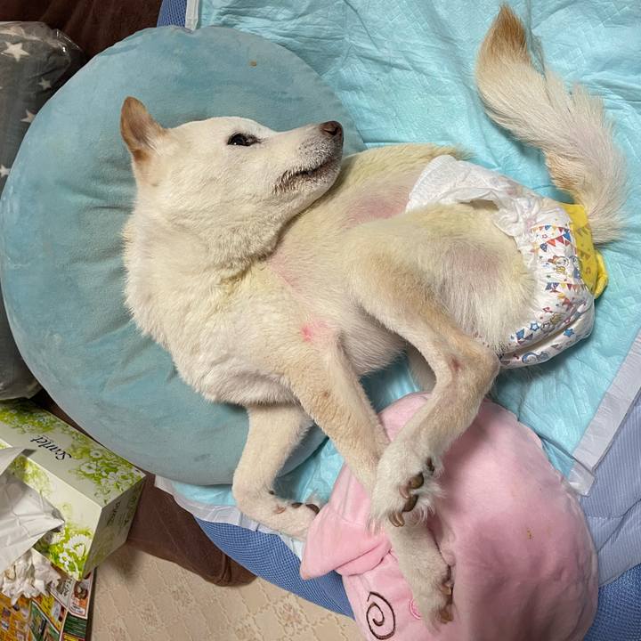 F54a9db8 9d80 4f02 9f12 1e17d7dab434 1671546468834