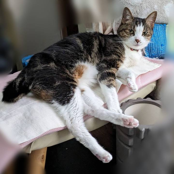 F54ab30a 1a1a 4923 aac5 590c2e12e54f 1690422879890