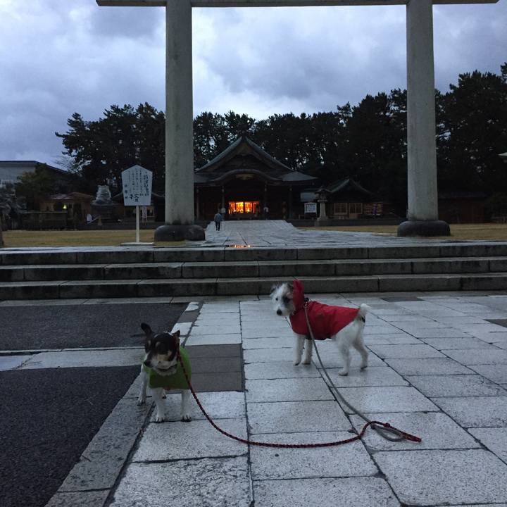 F54af199 8b5f 450a bdf3 0e35eb0b8b04 1513386435631