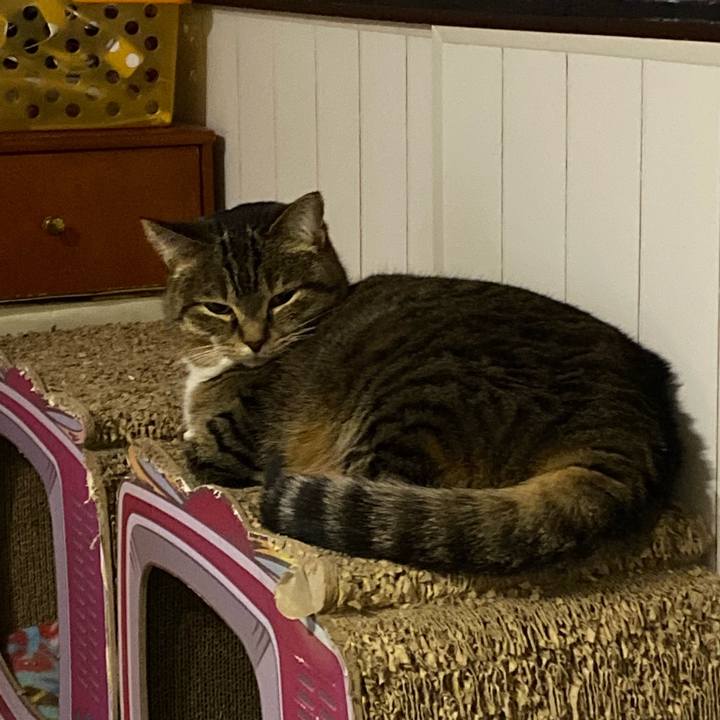 F54b0557 5d0b 4d31 b0cf ead12737dc3a 1674747658912