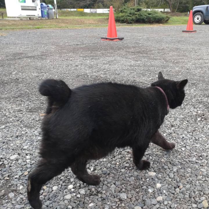 F54b1cc2 2cba 44cf 8886 08ca221fa1e2 1730171755382