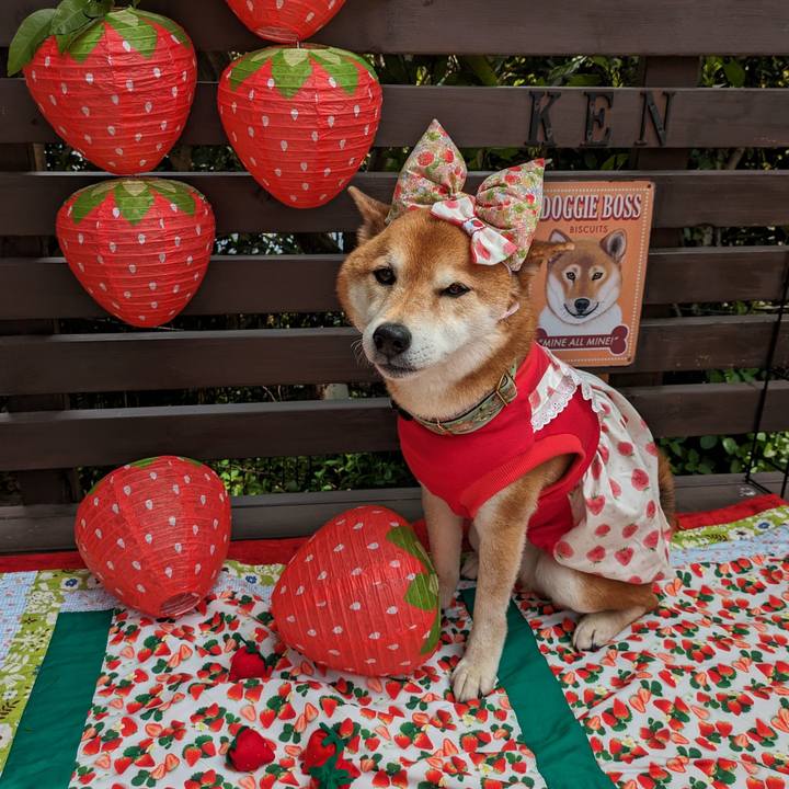 F54b5c63 8709 470c 93b5 31c55a14cd24 1713752269413