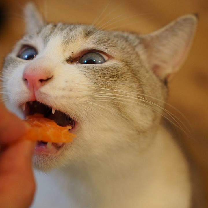 F54b7d7f 46f8 4263 a789 a22854f4df00 1547261037168