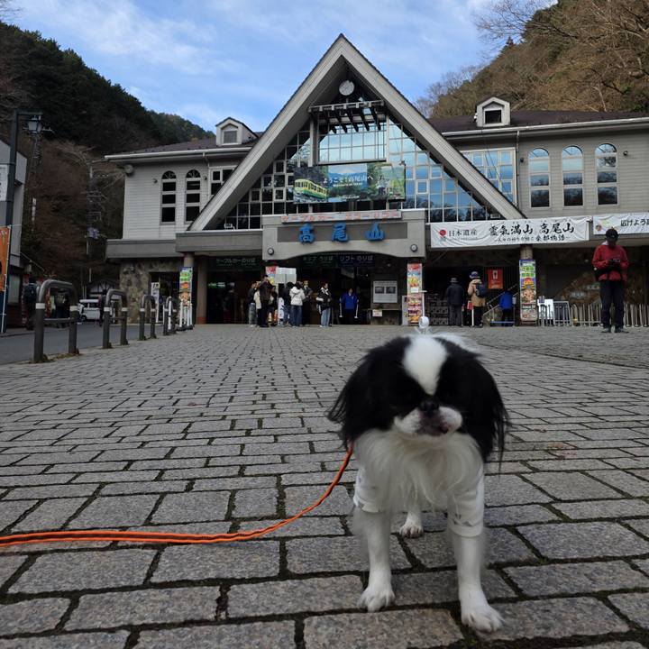 F54b994b d054 451a a7bc 7203b7fc3804 1765443631420