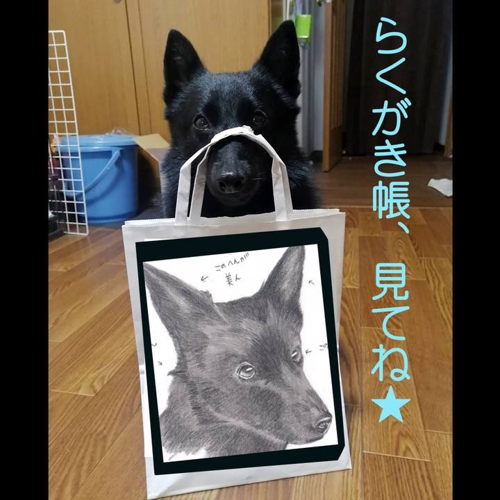 F54bbf16 90e0 46a6 8cd9 525f07432f3a 1627179091527