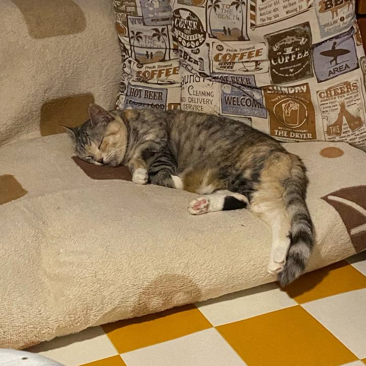 F54bc7cd f9b5 4d5b 8073 37cd887ca3bc 1687379174018