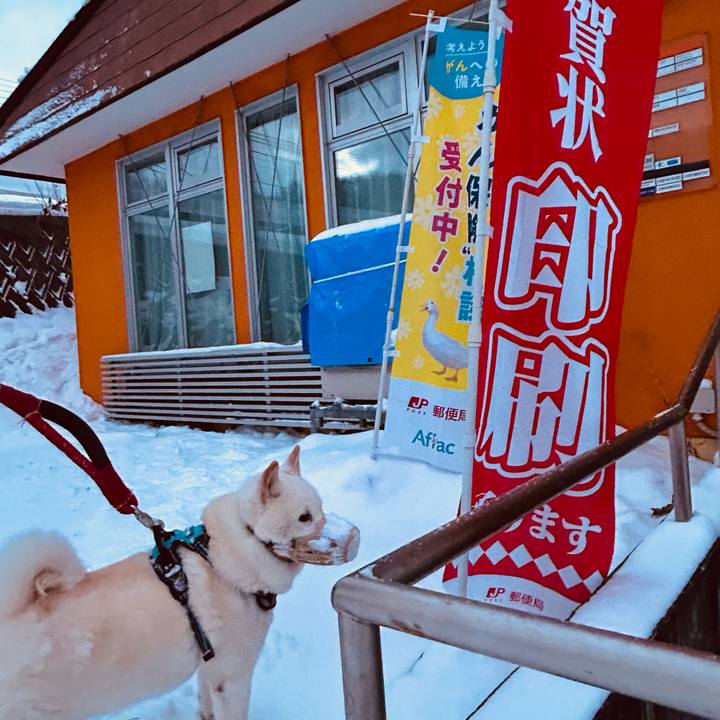 F54c11ac cb9b 4325 8eda 852002253030 1734563317309