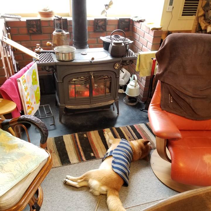 F54c2068 0307 4909 8b7b 4e4a86046200 1581819021535