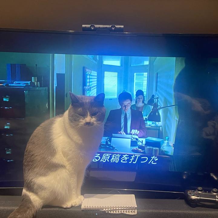 F54c2550 7183 4973 9f1d 963d3b914caa 1677076207005