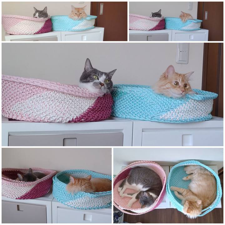 F54c297d 315b 47c0 8506 d85ebf6cf39c 1657319238588