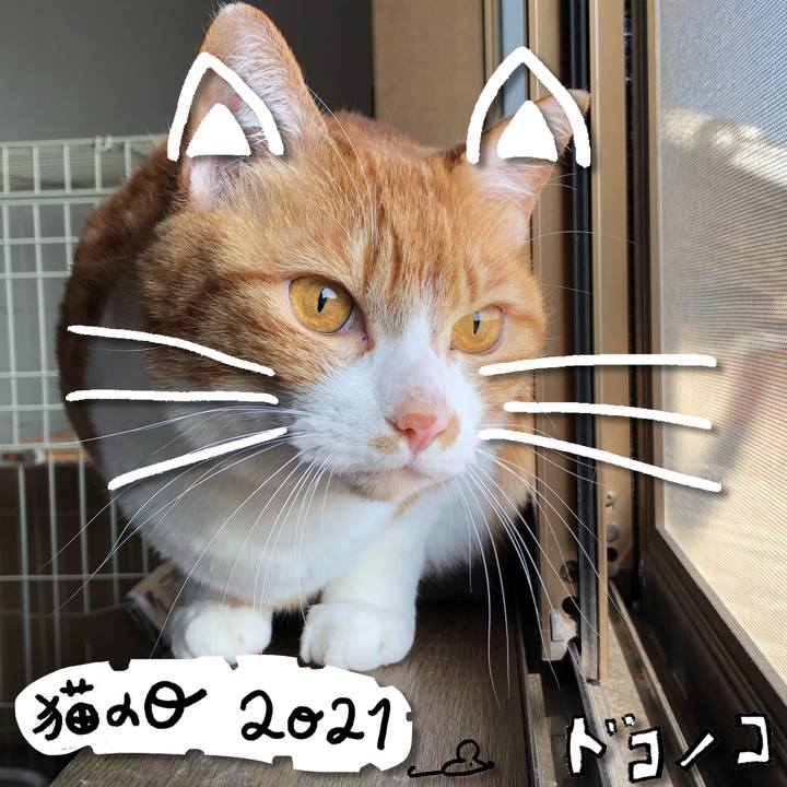 F54c467b 3e35 4ac7 ac4e 655a807309a5 1613975951948