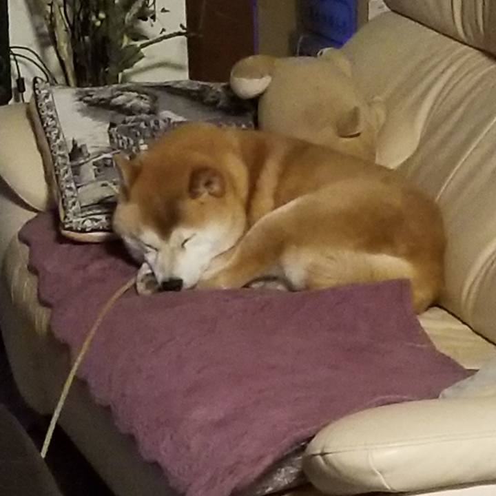 F54c4963 28dd 4fe9 bba2 56115283fafb 1588278927094