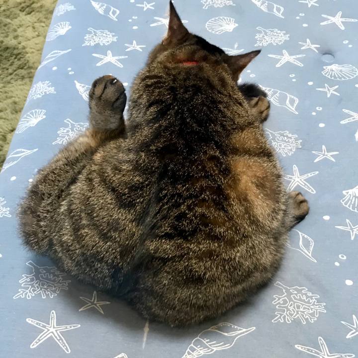 F54c5f9a 9da1 4b06 93f4 4e0781e94e25 1588852983784