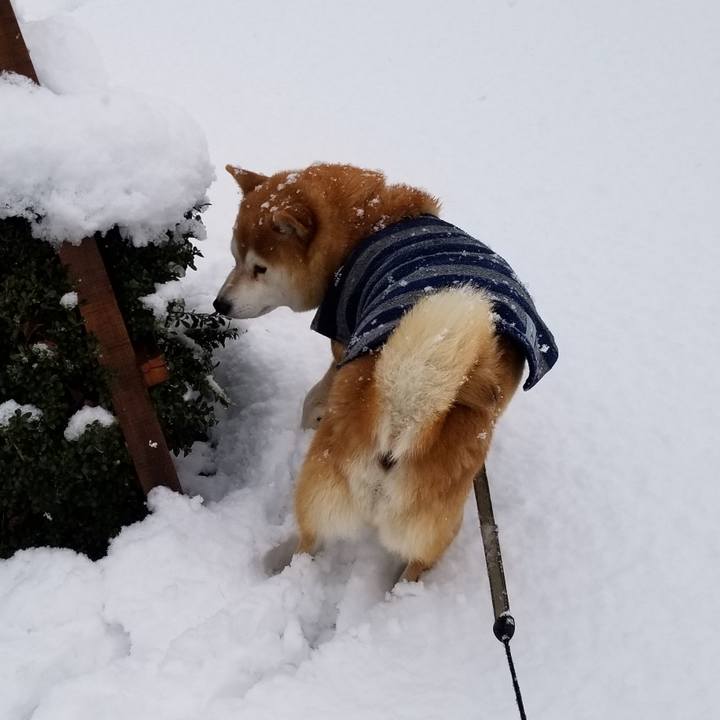 F54c8c11 a614 4b28 bbac f195dc120956 1579585657568